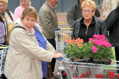 Foto 11 uit OpzoomerenPlantjes