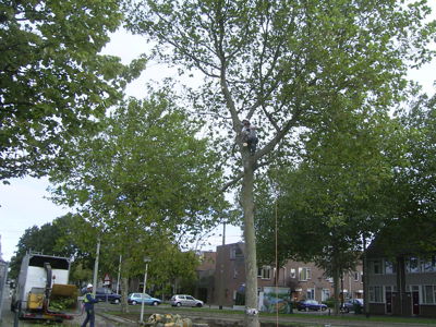 Foto 111 uit Noord_Zuid fase 2bw