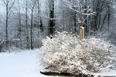 Foto 13 uit Kerst Beverwaard09