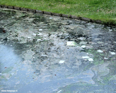 Foto 4 uit vervuiling singel bw