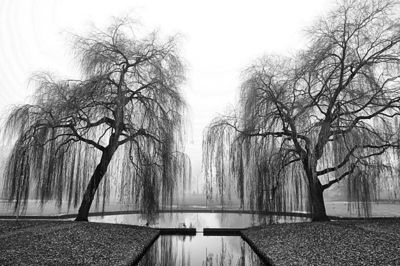 Foto 31 uit Herfst In Beverwaard