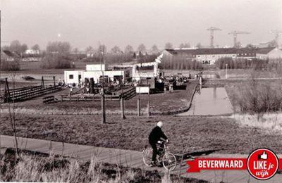 Foto 94 uit LIKEJEWIJK FOTO'S_3