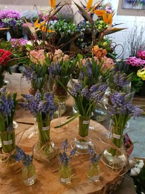 Foto 41 uit De Bloemenboetiek