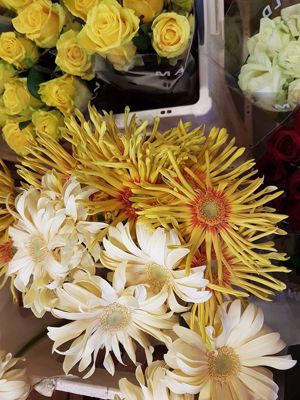 Foto 258 uit NeelyshaBloemen