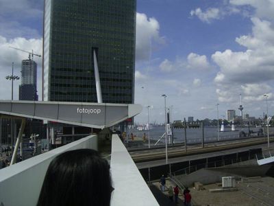 Foto 48 uit red bull air race r.dam