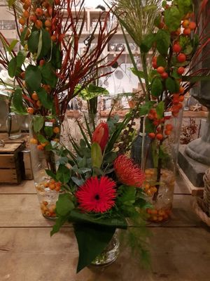 Foto 12 uit De Bloemenboetiek