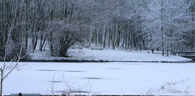 Foto 220 uit WinterIn Beverwaard