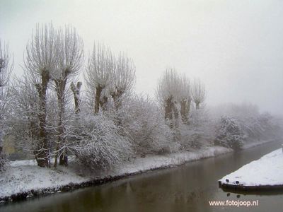 Foto 53 uit WinterIn Beverwaard