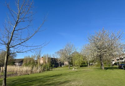 Foto 179 uit Rondje Beverwaard 2026