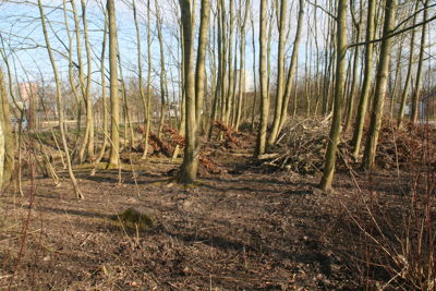 Foto 3 uit Boomplantdag16-3