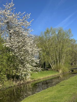 Foto 189 uit Rondje Beverwaard 2026