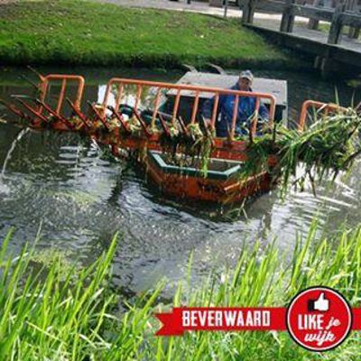 Foto 20 uit LIKEJEWIJK FOTO'S