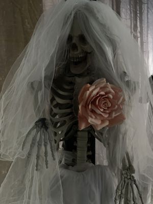 Foto 21 uit Halloween30-10-21