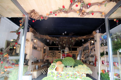 Foto 92 uit De Bloemenboetiek