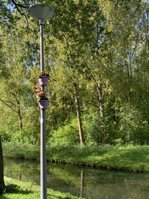 Foto 496 uit Rondje Beverwaard 2026