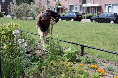 Foto 39 uit Tropische Tuin12_6