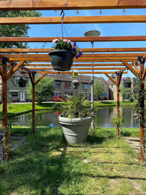 Foto 7 uit AlerdinksingelPlanten