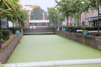 Foto 46 uit Viskar 1ste 21-8-18