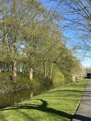 Foto 191 uit Rondje Beverwaard 2026