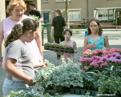 Foto 23 uit schoonmaakactie new