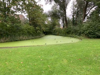 Foto 431 uit Rondje Beverwaard 2026