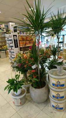 Foto 26 uit Dieren Zaak Catdox