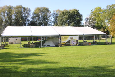 Foto 17 uit Kunstwerk de Meeuw