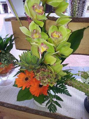 Foto 35 uit NeelyshaBloemen