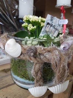 Foto 350 uit NeelyshaBloemen