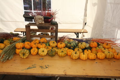 Foto 83 uit Halloween-26-10-19