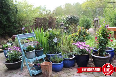 Foto 295 uit LIKEJEWIJK FOTO'S_3