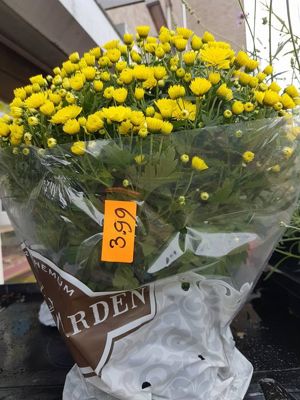 Foto 270 uit NeelyshaBloemen