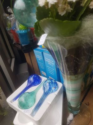 Foto 212 uit NeelyshaBloemen