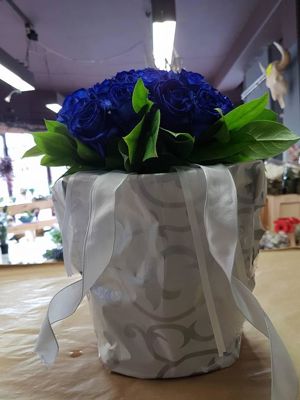 Foto 107 uit NeelyshaBloemen