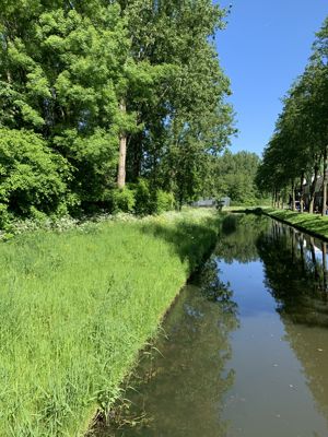 Foto 36 uit Rondje Beverwaard 2026