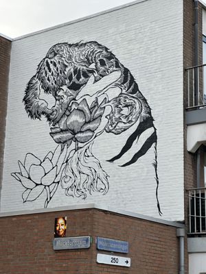 Foto 71 uit All Caps Muurschilderingen Beverwaard 2026