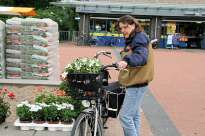 Foto 72 uit OpzoomerenPlantjes