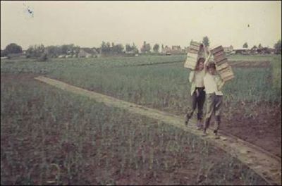 Foto 22 uit SloopEnOpbouwWIJK