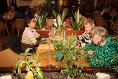 Foto 61 uit ZwartePietenBingo