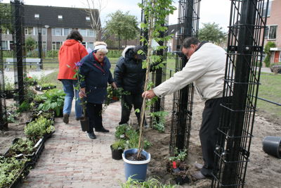 Foto 13 uit Tropische Buurttuin