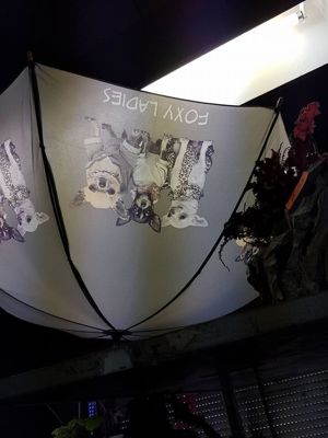 Foto 204 uit NeelyshaBloemen