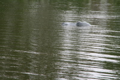 Foto 96 uit Stormpolder30_4-10