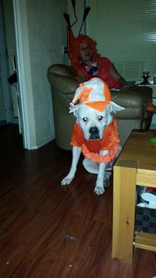 Foto 89 uit OranjeInBeverwaard