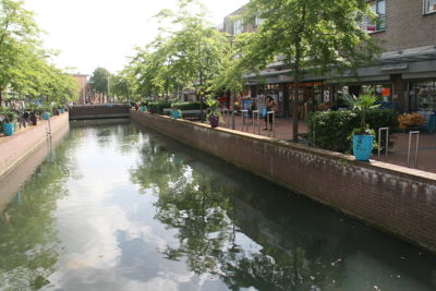 Foto 81 uit HippePlantenBakken