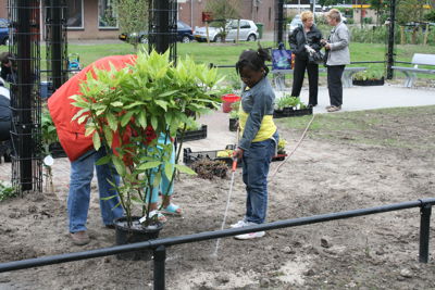 Foto 34 uit Tropische Buurttuin