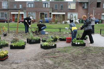 Foto 35 uit Tropische Buurttuin