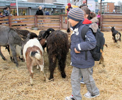 Foto 29 uit Sinterklaas 2009B.W