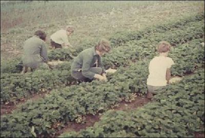 Foto 329 uit SloopEnOpbouwWIJK