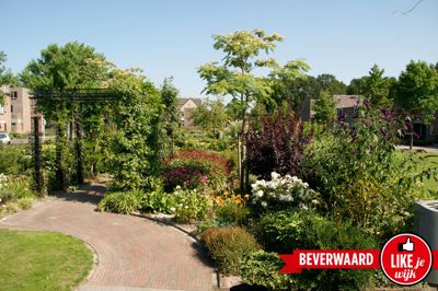 Foto 290 uit LIKEJEWIJK FOTO'S_3