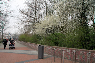 Foto 5 uit StratenBEVERWAARD